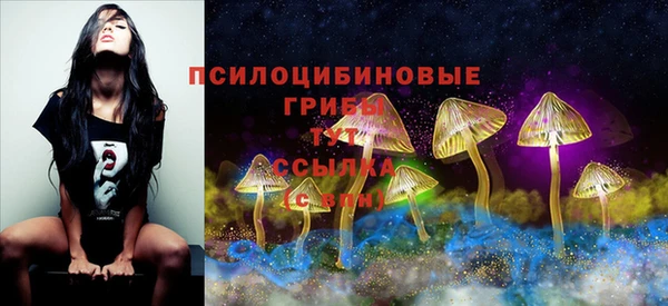 герыч Алзамай